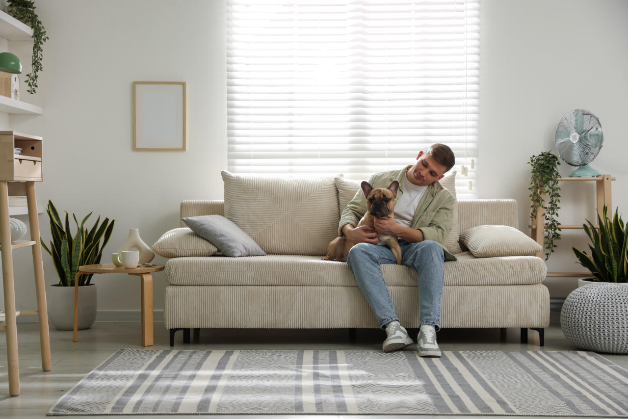 Kille i soffan med hund